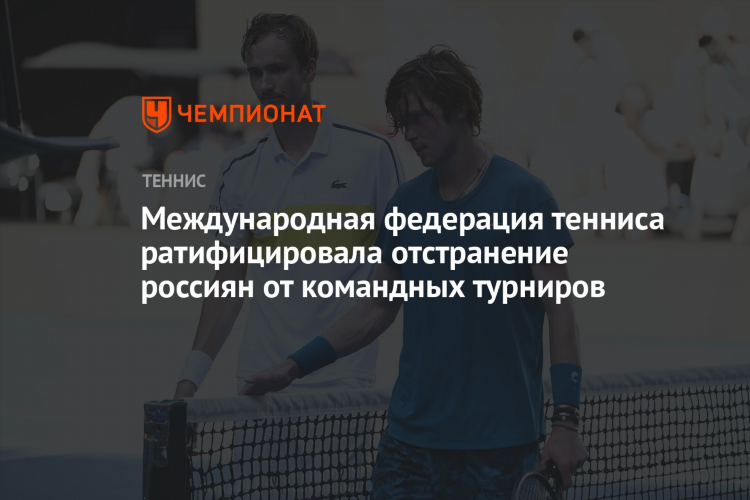 Белорусская федерация тенниса
