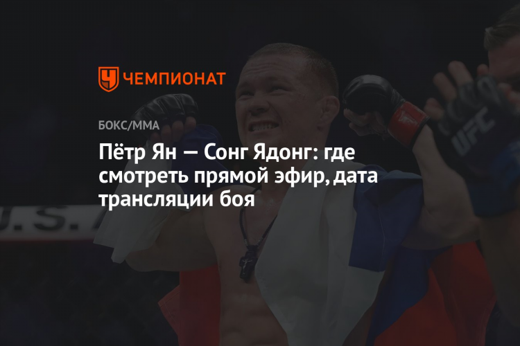 Бой без правил прямой