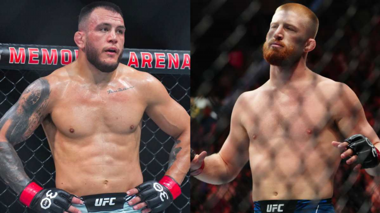 Бои ufc это