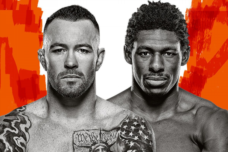 Бои ufc сегодня смотреть в онлайн