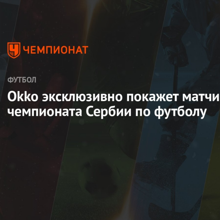 Окко спорт оптимум