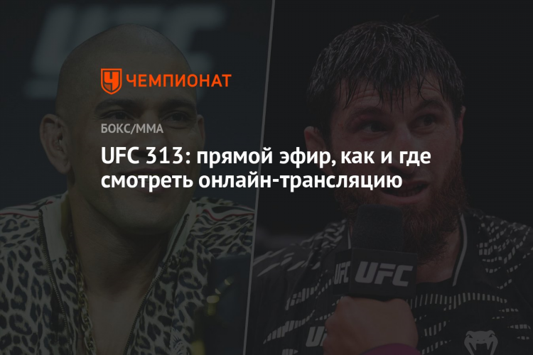Прямой эфир бокса сегодня смотреть онлайн
