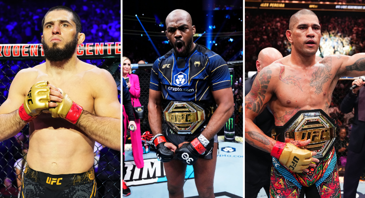 Список весовых категорий в ufc