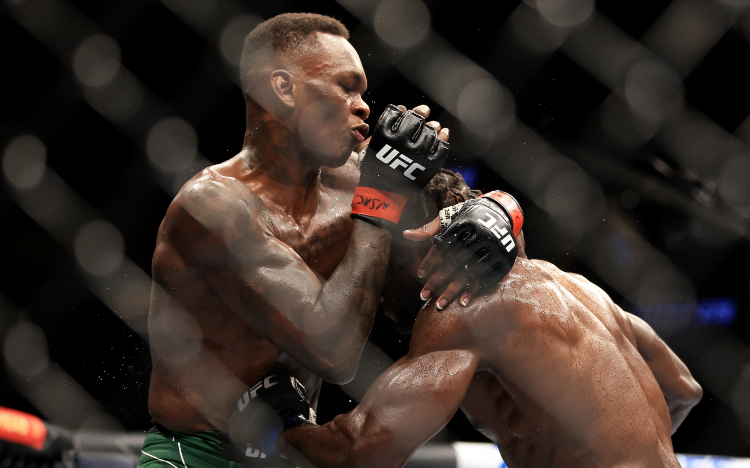 Средний вес в ufc бойцы
