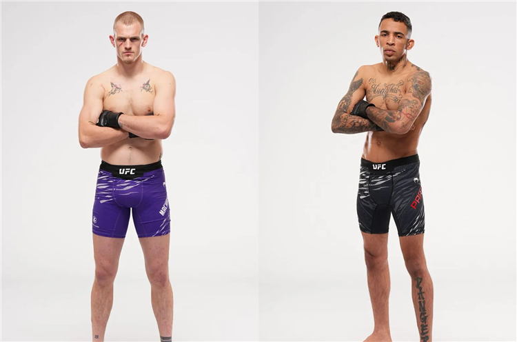 Ufc fight night online
