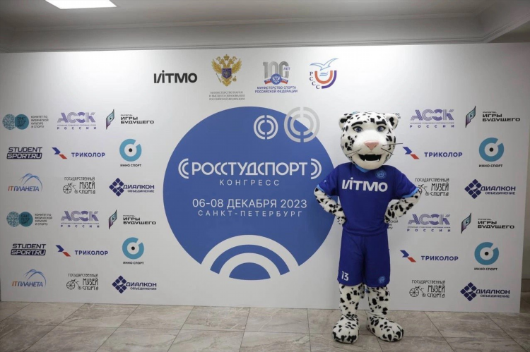 В мире спорта
